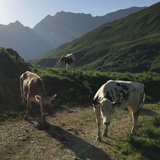 Aufstieg zur Alp Schmorras