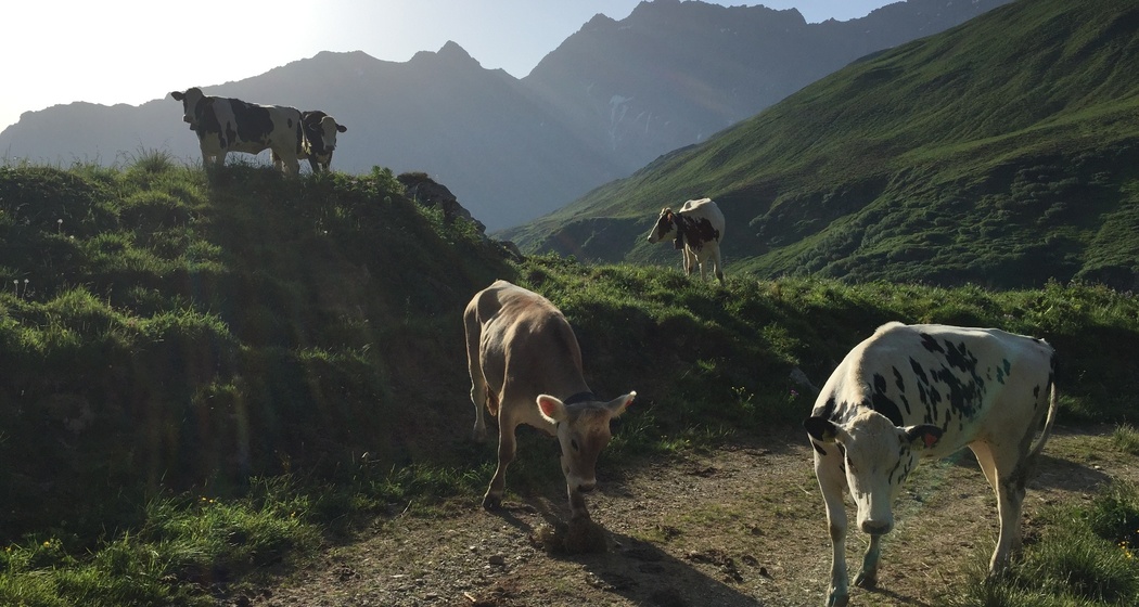 Aufstieg zur Alp Schmorras