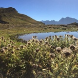Auf dem Alpenpässeweg von Radons nach Ausserferrera (oua_605029514_image)