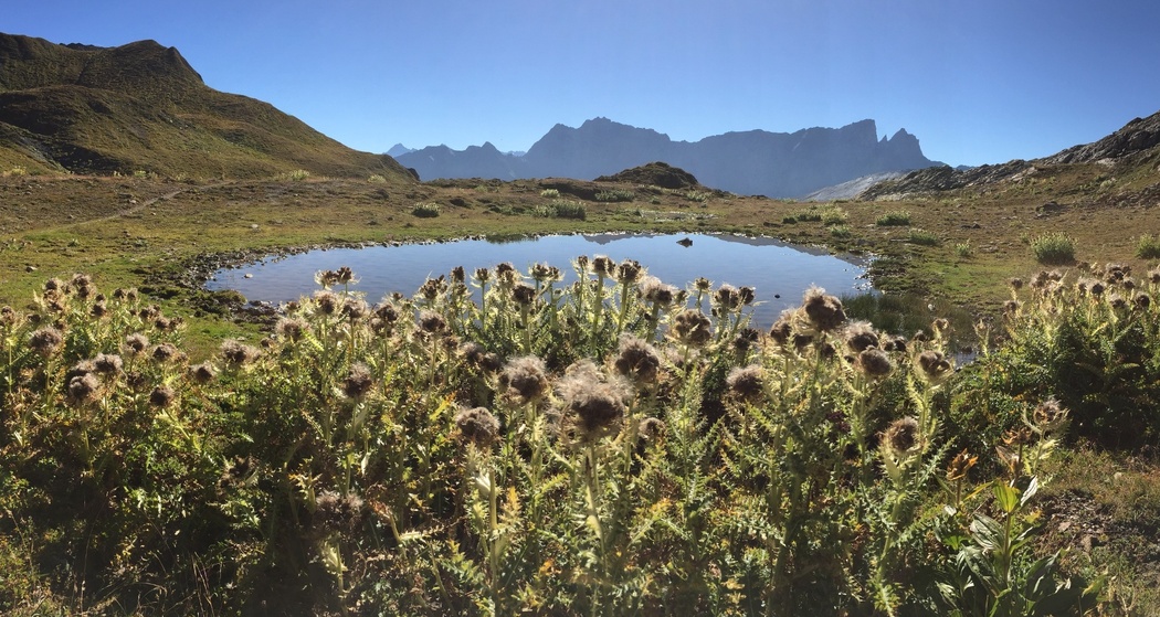Auf dem Alpenpässeweg von Radons nach Ausserferrera (oua_605029514_image)