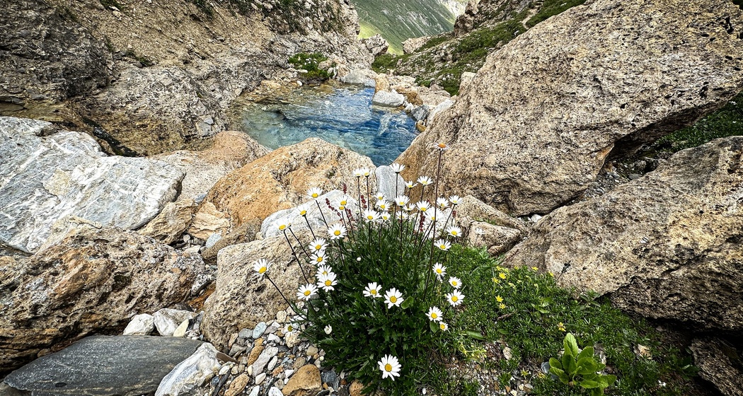 Von Somtgant nach Ausserferrera (oua_605029789_image)