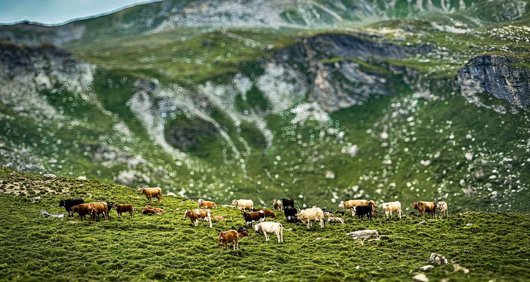 Von Somtgant nach Ausserferrera (oua_605029790_image)