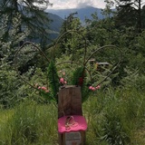 Fairies & Elf Trail Castiel