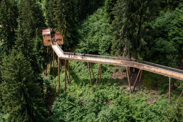 Senda dil Dragun, Baumwipfelpfad (oua_60534770_image)