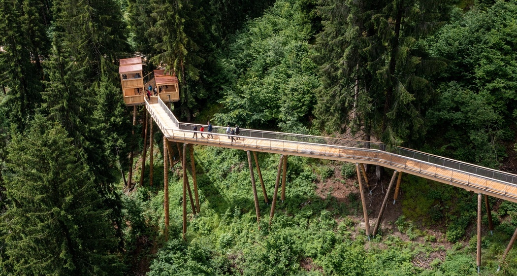 Senda dil Dragun, Baumwipfelpfad (oua_60534770_image)