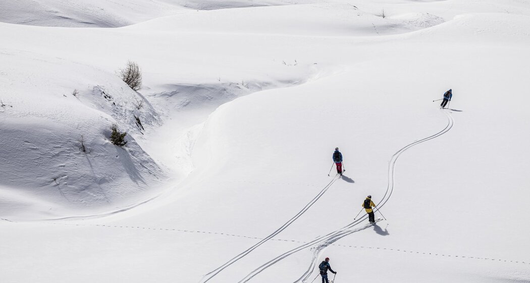 Piz Sesvenna ab S-charl (oua_605435257_image)