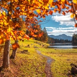 Autumn atmosphere at Chapfensee