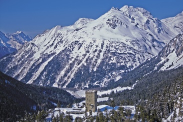 Belvedere Tower (oua_605632471_image)