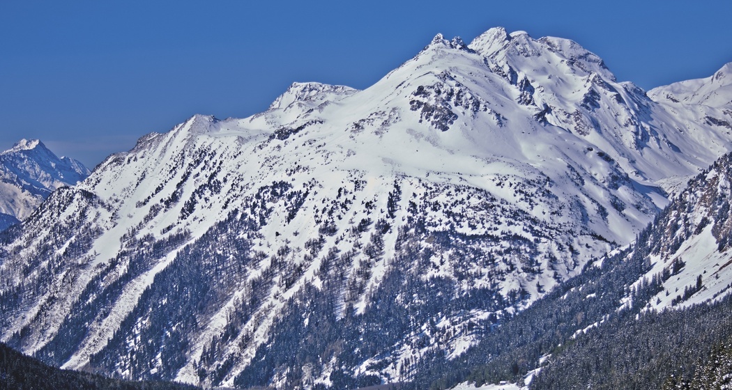 Turm Belvedere (oua_605632471_image)