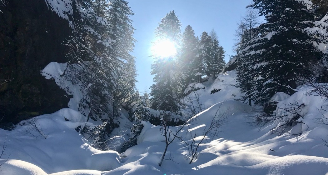 Lägh da Bitabergh (oua_605632868_image)