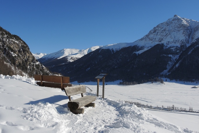 Bench Arschaida (oua_605633040_image)