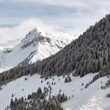 Schollberg, St. Antönien