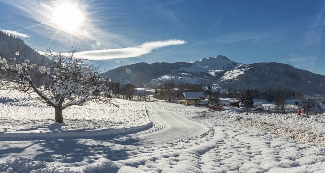 Gute Loipe, auch mit wenig Schnee