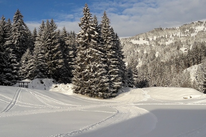 Kleinstloipe für Skating