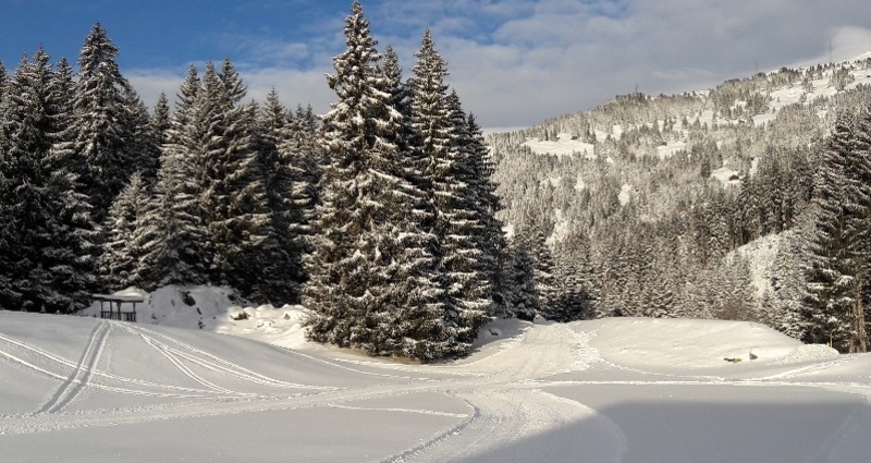 Kleinstloipe für Skating