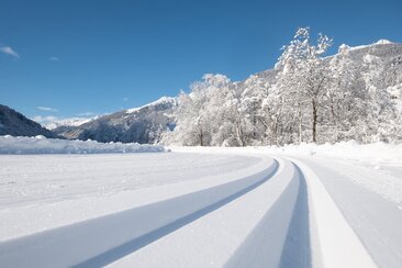 Loipe wie im Bilderbuch