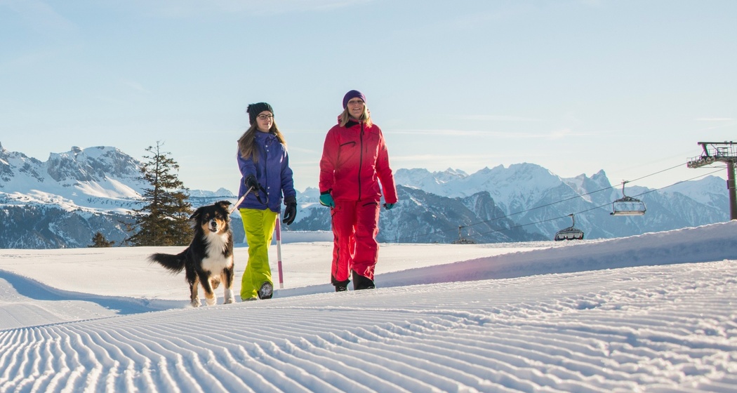 Winterwandern mit Hund am Flumserberg