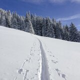 Ideal for breaking in