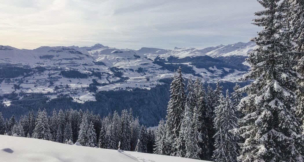 Sicht in Richtung Obersaxen