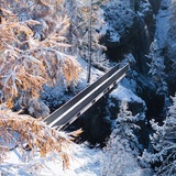 Erlebnisrundweg Wildwasserschlucht Ova da Bernina
