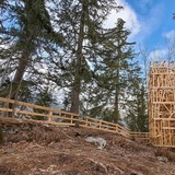 tour en bois accessible