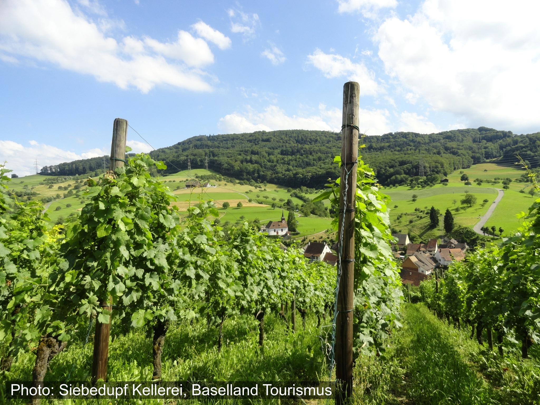 Baselbieter Reben-Route (Veloland 115)