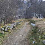 chemin bordé de pierres