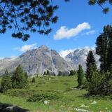 Buffalora - Jufplaun (oua_606870430_image)