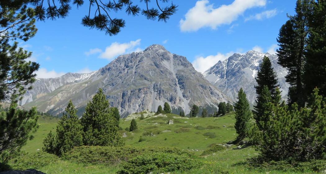 Buffalora - Jufplaun (oua_606870430_image)