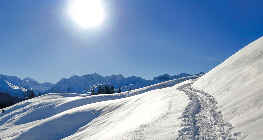 Im Aufstieg zum Cuolmet