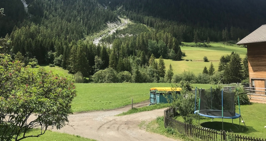 Summer view from garden