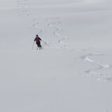 Ascent through forest clearings