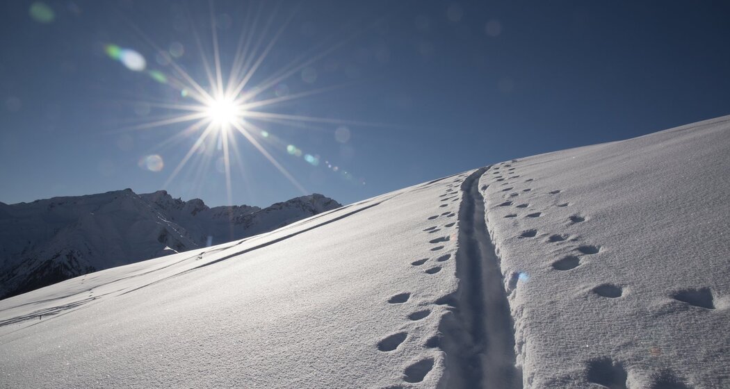 Spuren im Schnee