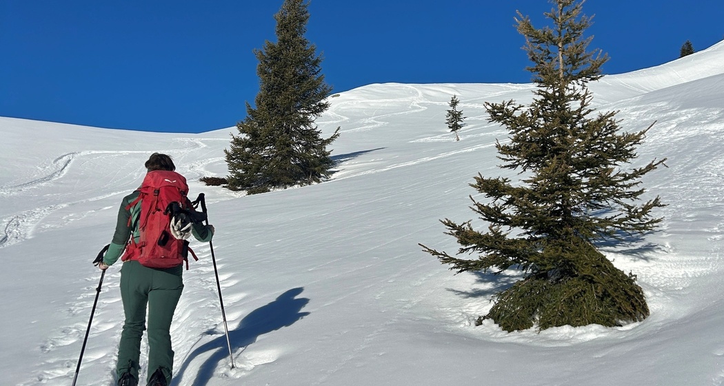 Steter Aufstieg macht den Gipfelsieg