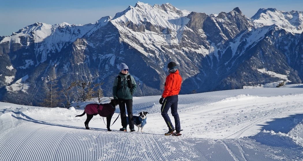 Winterwandern mit Hund am Pizol