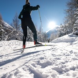Pontresina - Morteratsch (oua_607839243_image)