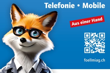 Föllmi ICT AG - IT, INTERNET, Telefonie & Mobile (oua_607879477_image)