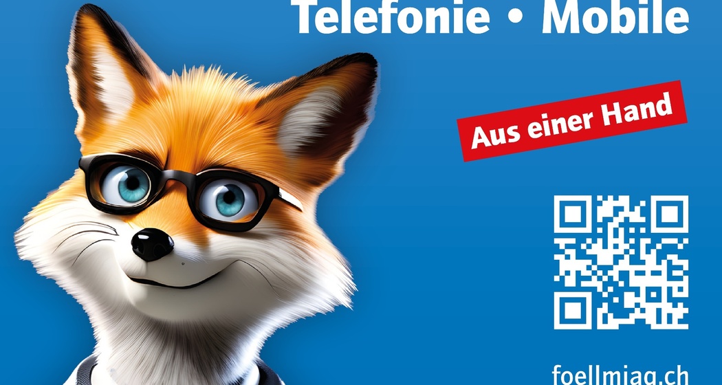 Föllmi ICT AG - IT, Internet, Telefonie & Mobile (oua_607879477_image)