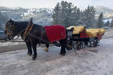 Carriage Ride Bruno Hassler (oua_608063507_image)