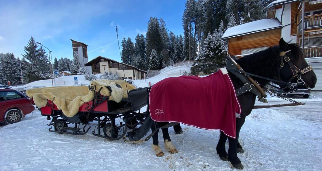 Pferdekutschen Bruno Hassler (oua_608063508_image)