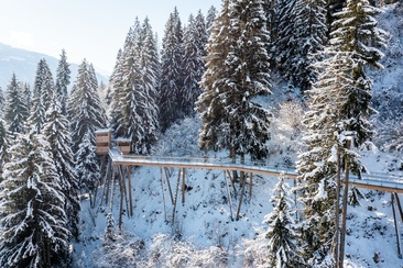 Baumwipfelpfad Winter