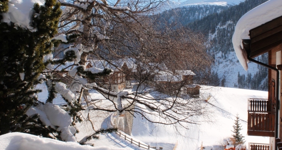 Ferienwohnung Huggel (oua_60856116_image)