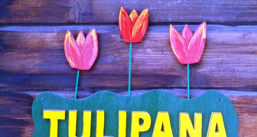 Tulipana