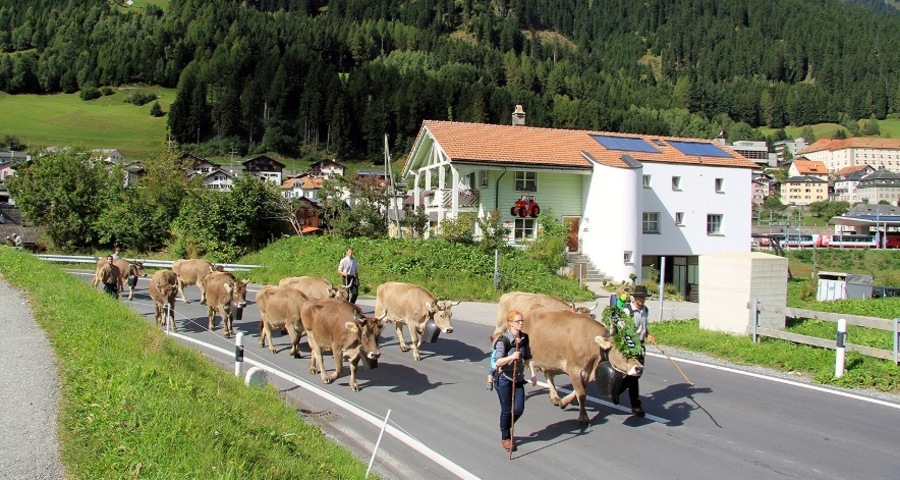 Casa Salaplauna (oua_60856624_image)