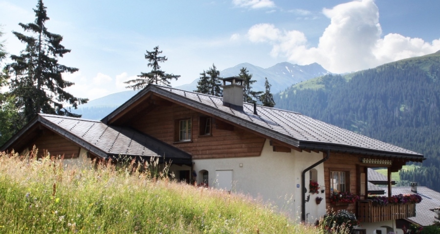 Ferienwohung Cavegn-Cavigelli (oua_60856608_image)