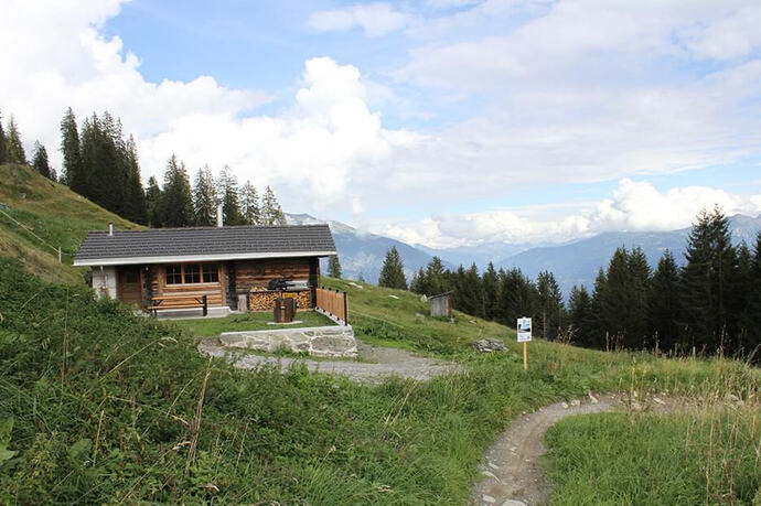 Tegia Alp Uaul - Ferienhütte Alp Uaul (oua_60862268_image)