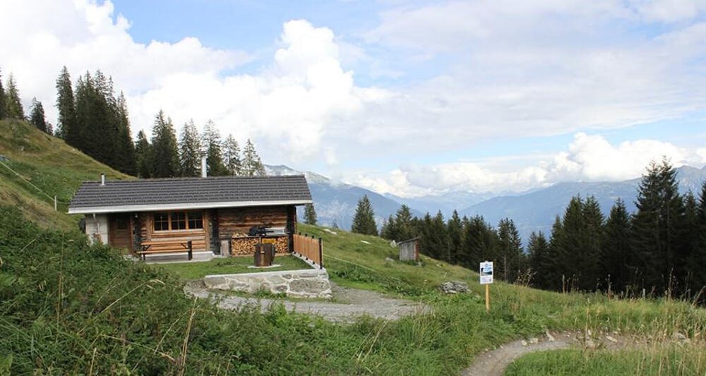 Tegia Alp Uaul - Ferienhütte Alp Uaul (oua_60862268_image)
