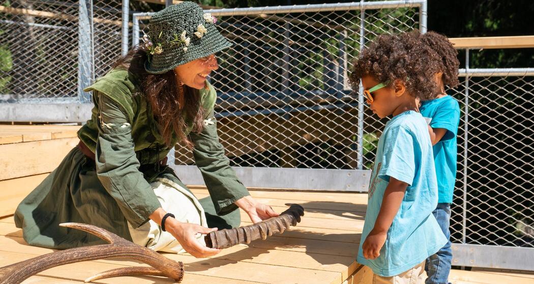 Senda dil Dragun (oua_60870147_image)