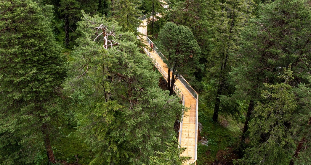 Senda dil Dragun (oua_60872554_image)