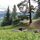 Crap la Tretscha Barrier-free